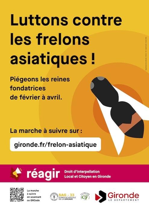 Initiative citoyenne de lutte contre les frelons asiatiques en Gironde